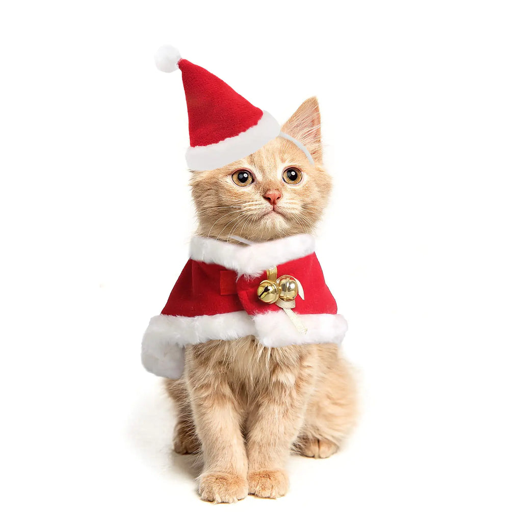 Festive Feline Santa Outfit with Cloak